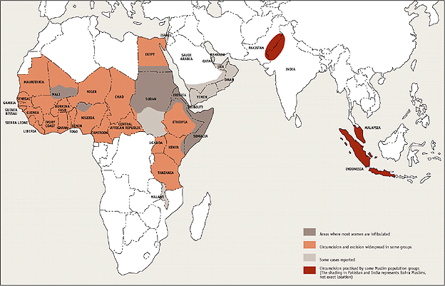 World map of the incidence of FGM (67861 bytes)