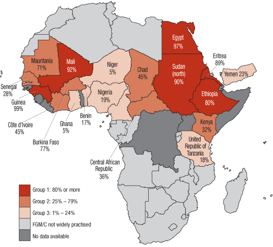 Map of the incidence of FGM in Africa, 2007 (31094 bytes)