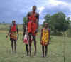 Masai Ole Ntutu buffalo dance.jpg (61048 bytes)